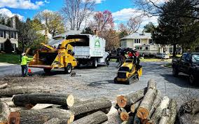 Reliable Houserville, PA Tree Removal and Landscaping Services Solutions